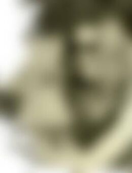 Kyl*** - Wangen (Allgäu)