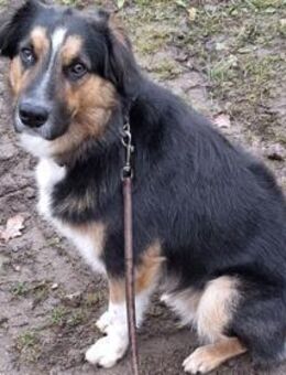 Goofy möchte endlich ankommen - München