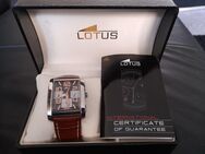 Lotus/Festina Tag Datum 24/h - Hamburg Wandsbek