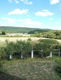 Großzügiges Einfamilienhaus in ruhiger und idyllischer Lage am Rand des Steigerwaldes - Michelau (Steigerwald)