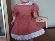 Original Schildkröt Puppen,diverse Größen,zu verkaufen - Mainz