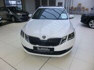 Skoda Octavia, Combi Soleil PanoramaSSD, Jahr 2019 - Lübbecke