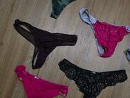 Getragene Höschen Tanga panty und bikini - Chemnitz