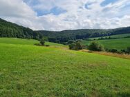 ••• Traumhaftes, idyllisches, sehr ruhiges Baugrundstück in Jena ••• - Jena