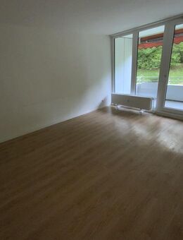 Große 3- Zimmer -Erdgeschosswohnung in Siegen Weidenau - Siegen (Universitätsstadt)