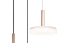 TRIO Leuchten LED Pendelleuchte CELESTE dimmbare LED Hängelampe aus Metall und Glas, 7,5W, 750 Lumen, Dimmfunktion, LED fest integriert, Warmweiß, 3-flammig einfach höhenverstellbar von 50-200 cm 3-Stufen Dimmfunktion