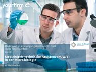 Medizinisch-technische Assistenz (m/w/d) in der Mikrobiologie - Wiesbaden