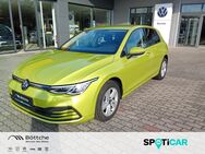 VW Golf, 1.5 Life 16V, Jahr 2020 - Zerbst (Anhalt)