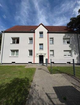 Kompakt & clever wohnen - charmantes 1-Zimmer-Apartment - Essen