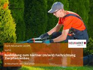 Ausbildung zum Gärtner (m/w/d) Fachrichtung Zierpflanzenbau - Neumarkt (Oberpfalz)