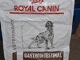 Spezialfutter Nass und Trockenfutter sehr günstig abzugeben-Royal Canin Gastro Intestinal 1x27 Dosen 1x31 Dosen in 13129