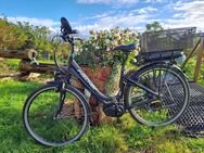 E-Bike 28" von Fischer - Midlum (Niedersachsen)