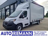 Fiat Ducato, 35 Pritsche Schiebe Plane Maxi L5 LBW, Jahr 2021 - Cloppenburg