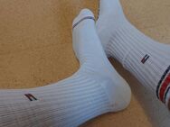 Getragene Socken - Tommy Hilfiger - Karlsruhe