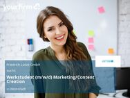 Werkstudent (m/w/d) Marketing/Content Creation - Weinstadt
