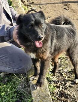 Soziale JESSIE = bereit für ihr GLÜCK ♥️ - München