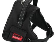 Zolux Moov Verstellbares Hundegeschirr, schwarz - Größe XL: 76 - 96 cm Brustumfang