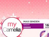 Maxi Binden… - Hamburg Harburg