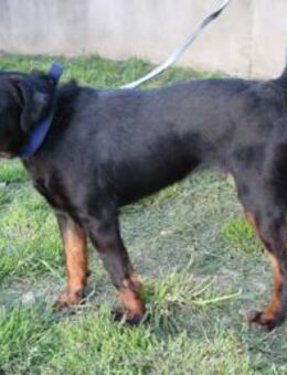 JULLY R.- klein aber die Power stimmt - Overath