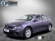 VW Polo, 1.0 l TSI Life 95 D, Jahr 2022 - Brandis