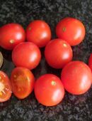 Minibel - Zwergtomate in 70569