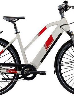 Zündapp E-Bike Trekkingrad Z810, 8 Gang Shimano Altus RD-M310 Schaltwerk, Kettenschaltung, Heckmotor, 550 Wh