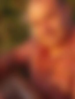 Vol*** - Brandenburg (Havel)