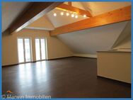 Big House, 3 Bedrooms, 3 Bathrooms, Studio and more and more..... - Bitburg