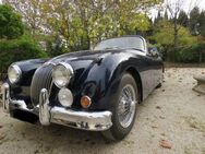 Jaguar XK 150 - Rahden