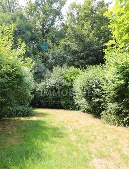 Natur pur: Charmantes Reihenhaus direkt am Waldrand von Amorbach - Neckarsulm