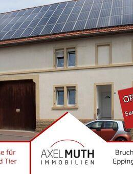 OpenHouse, Sa. 09.08 von 11:00h-11:45h Für Tierliebhaber! Von Menschen über Kleintieren bis zu Pferden findet hier alle ein Zuhause. - Eppingen