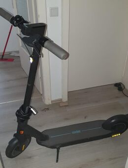 Ninebot G30 d mit Versicherung - Wuppertal