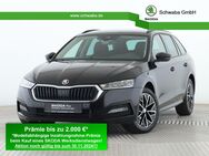 Skoda Octavia, 1.5 TSI Combi Ambition e-TEC, Jahr 2024 - Gersthofen