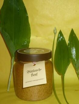 Bärlauch Senf 270ml Thüringen, steingemahlen rustikaler Tontopf - Görlitz Zentrum