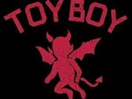 Toyboy für die Dame - Frankfurt (Main)