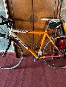 Damen Rennrad Rahmengröße 51cm - Schmallenberg Zentrum