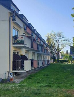 Ruhig gelegenes 1-Zimmer-Apartment mit Potential im Fasangarten! - München