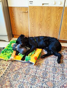 BAGHEERA - täglich fördern und fordern - Overath