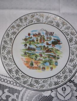 Porzellanteller Harzer Orte, Handmalerei - Jena