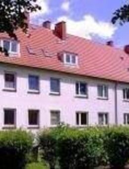3 Zimmer in Schleswig - Schleswig