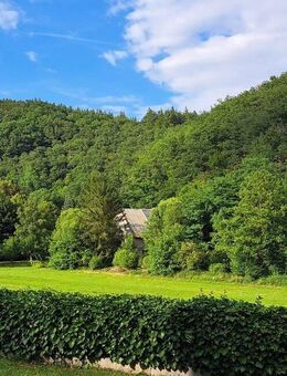 Haus in ruhiger Lage im idyllischen Rhaunen/ Hunsrück 6-7 Zimmer 4 Kellerräume Garage Wiese/Garten - Rhaunen