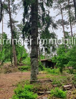 Pachtgrundstück mit sanierungsbedürftigen Wochenendhaus - Buchholz (Nordheide)