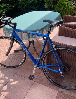 Rennrad 28 Zoll - Trier