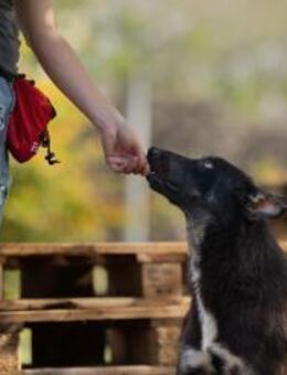 YONDU - so liebevoll kann's weiter gehen - Overath