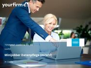 Minijobber Datenpflege (m/w/d) - Unna