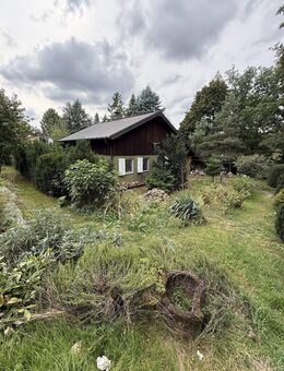 Autarkes Ferienhaus direkt am Wald - Radebeul