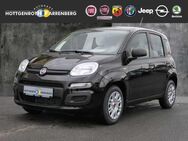 Fiat Panda 1.0 GSE Hybrid - Altenkirchen (Westerwald)