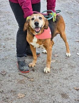 Dem Menschen SEHR zugewandt = HONEY♥️ - München