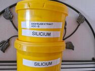 Siliciumpulver aus Bambusextrakt - Hammersbach