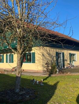 Für Anleger - 5 % Rendite bei bei Vermietung 2 Wohnhäuser, Nebengebäude, Waldflächen und Koppeln - Windorf
